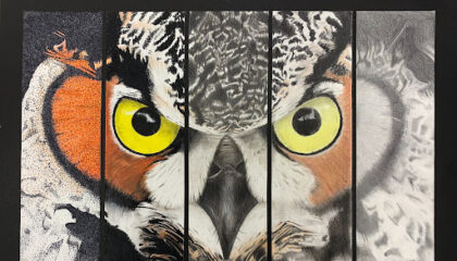 owl headshot artwork by Matthew Boothe '22