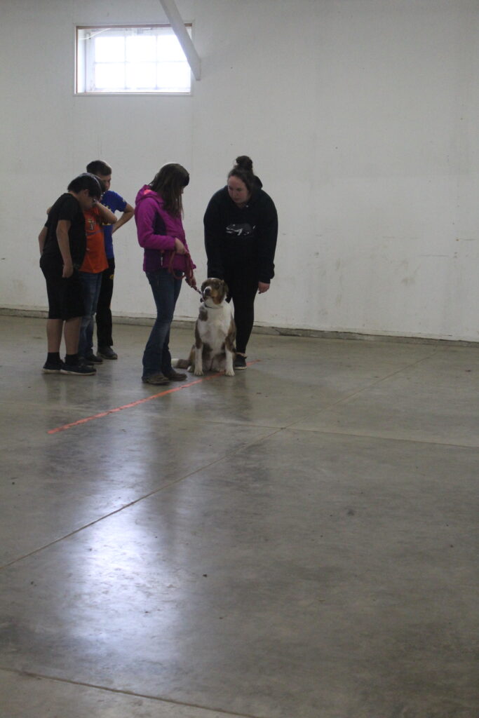 TyLea Rippey Dog Training
