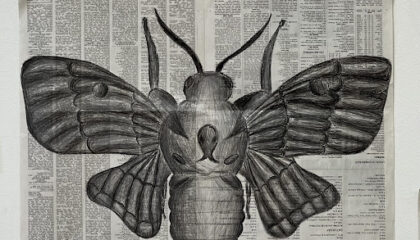 Moth newspaper art 4