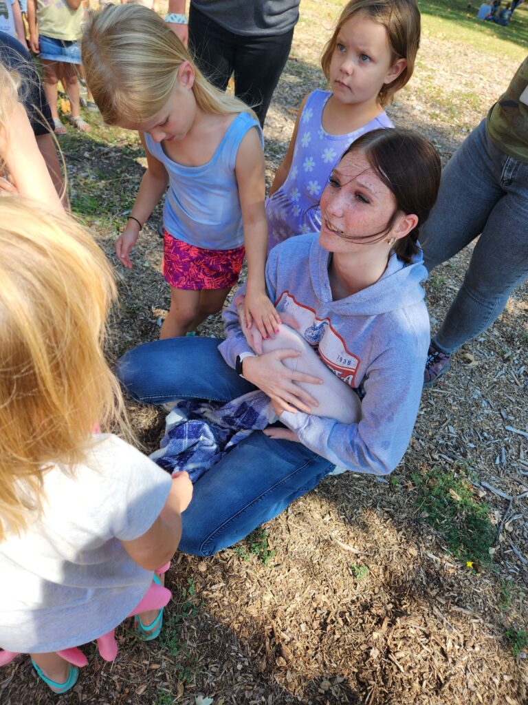 PreK petting zoo 1