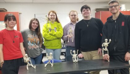 A&P Skeletal System