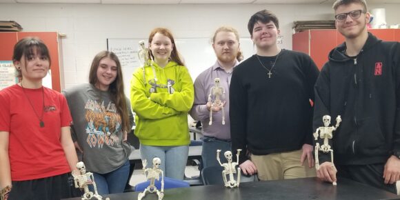 A&P Skeletal System